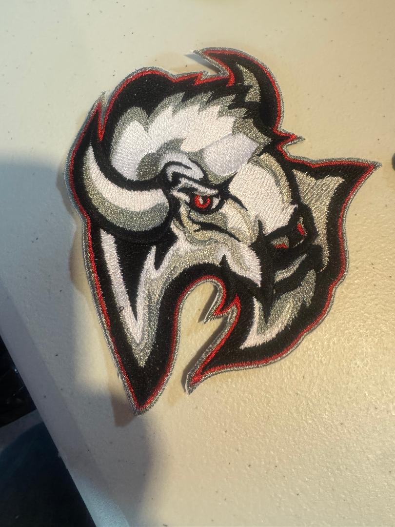 Made To Order 5x4 Embroidered Buffalo Sabers Iron On Patch